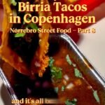 Hermanos Tacos (Nørrebro Street Food)